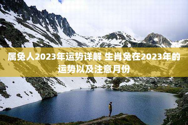 属兔人2023年运势详解 生肖兔在2023年的运势以及注意月份