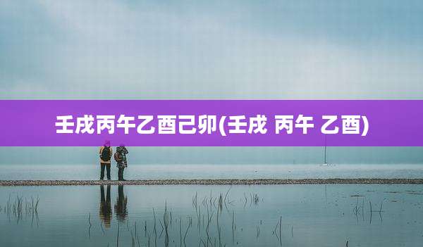 壬戌丙午乙酉己卯(壬戌 丙午 乙酉)