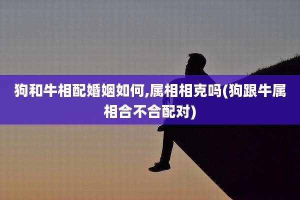 狗和牛相配婚姻如何,属相相克吗(狗跟牛属相合不合配对)