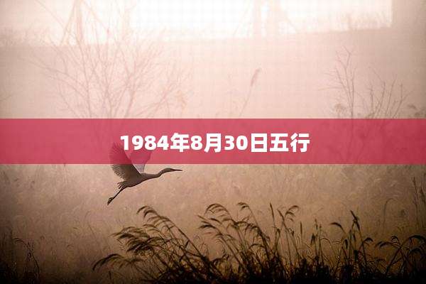 1984年8月30日五行