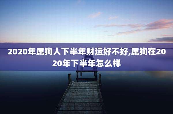 2020年属狗人下半年财运好不好,属狗在2020年下半年怎么样