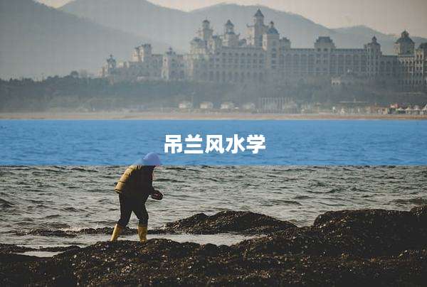 吊兰风水学
