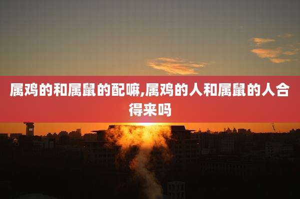 属鸡的和属鼠的配嘛,属鸡的人和属鼠的人合得来吗