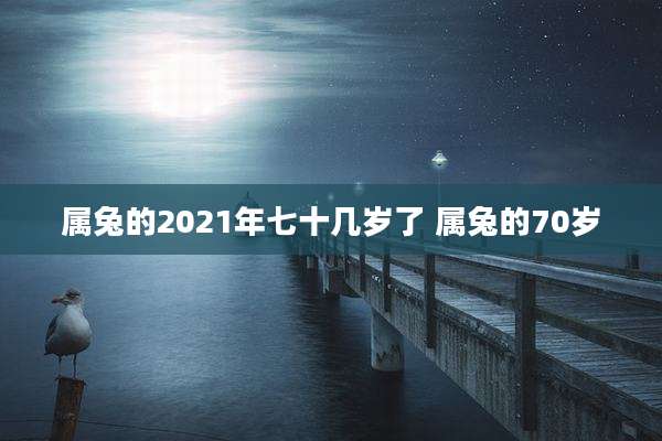 属兔的2021年七十几岁了 属兔的70岁