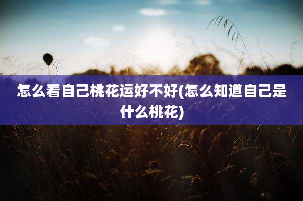 怎么看自己桃花运好不好(怎么知道自己是什么桃花)