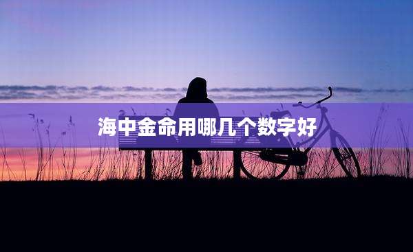 海中金命用哪几个数字好