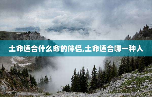 土命适合什么命的伴侣,土命适合哪一种人
