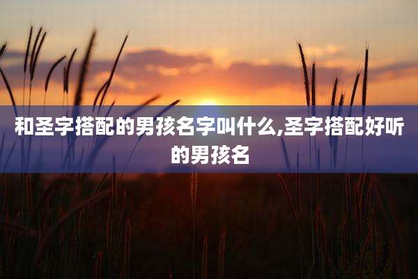 和圣字搭配的男孩名字叫什么,圣字搭配好听的男孩名