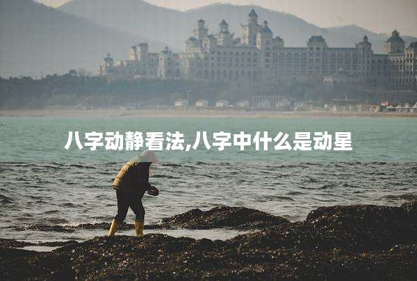 八字动静看法,八字中什么是动星
