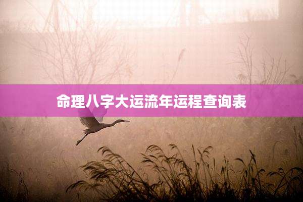 命理八字大运流年运程查询表