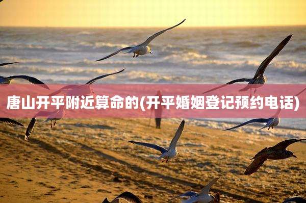唐山开平附近算命的(开平婚姻登记预约电话)