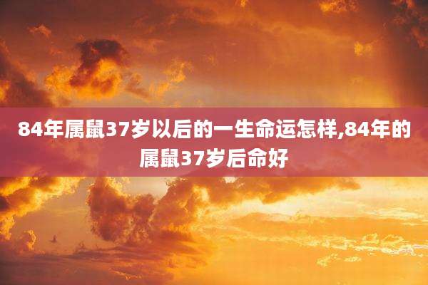 84年属鼠37岁以后的一生命运怎样,84年的属鼠37岁后命好