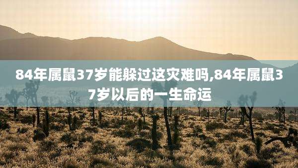 84年属鼠37岁能躲过这灾难吗,84年属鼠37岁以后的一生命运