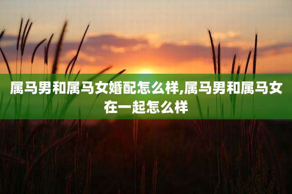 属马男和属马女婚配怎么样,属马男和属马女在一起怎么样