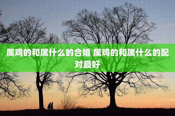 属鸡的和属什么的合婚 属鸡的和属什么的配对最好