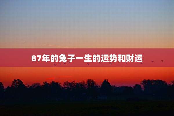 87年的兔子一生的运势和财运