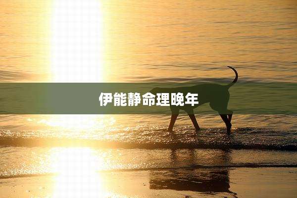 伊能静命理晚年
