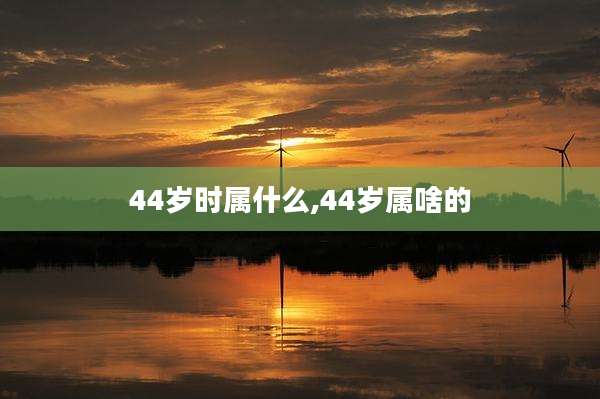 44岁时属什么,44岁属啥的