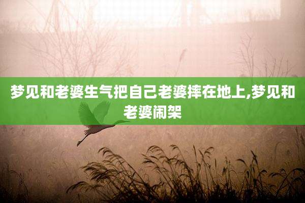 梦见和老婆生气把自己老婆摔在地上,梦见和老婆闹架