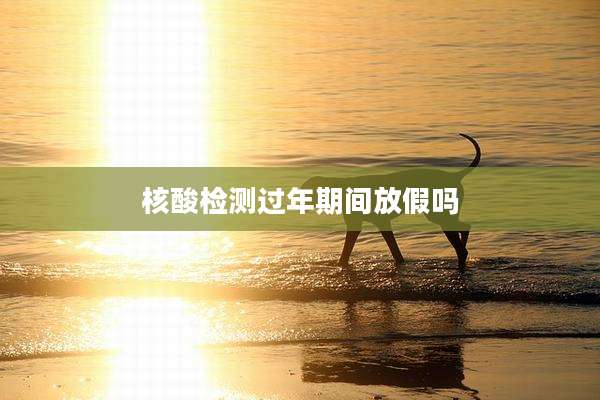 核酸检测过年期间放假吗