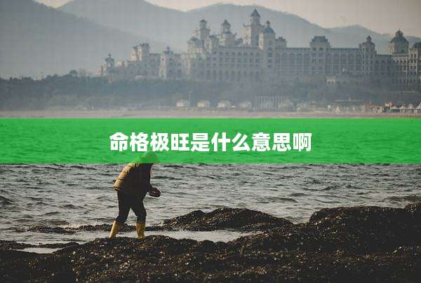 命格极旺是什么意思啊