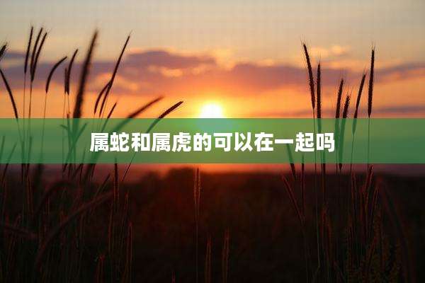 属蛇和属虎的可以在一起吗