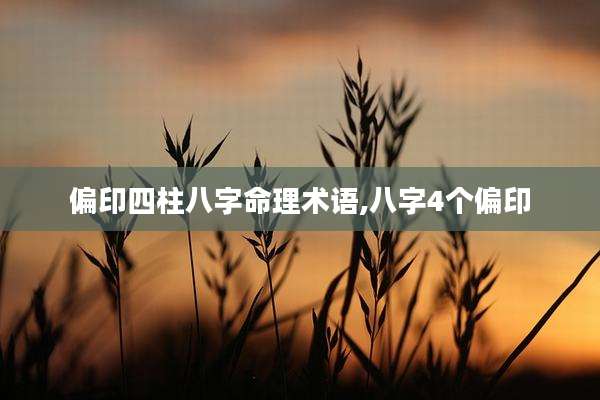 偏印四柱八字命理术语,八字4个偏印