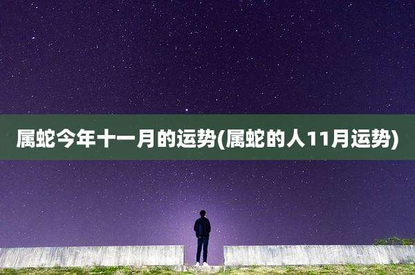 属蛇今年十一月的运势(属蛇的人11月运势)