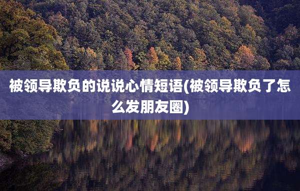 被领导欺负的说说心情短语(被领导欺负了怎么发朋友圈)