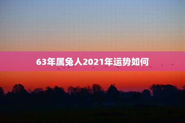 63年属兔人2021年运势如何