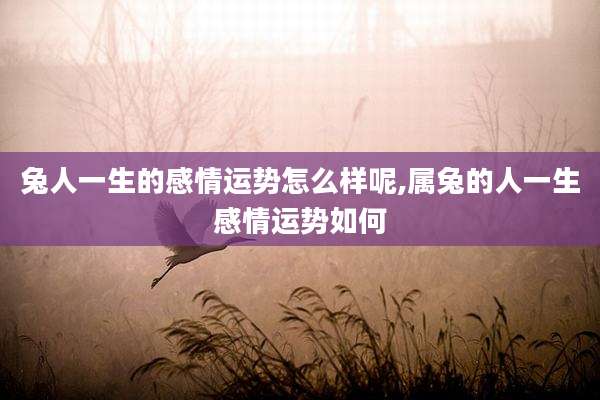 兔人一生的感情运势怎么样呢,属兔的人一生感情运势如何