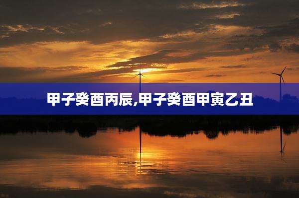 甲子癸酉丙辰,甲子癸酉甲寅乙丑
