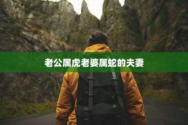 老公属虎老婆属蛇的夫妻