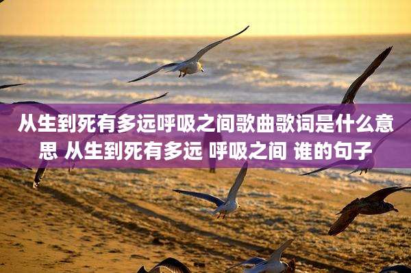 从生到死有多远呼吸之间歌曲歌词是什么意思 从生到死有多远 呼吸之间 谁的句子
