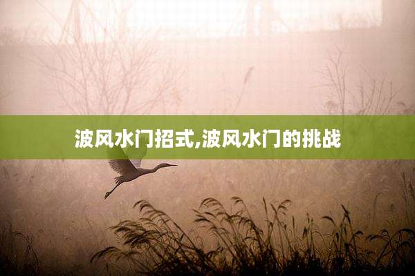 波风水门招式,波风水门的挑战