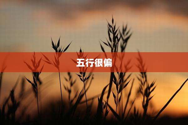五行很偏