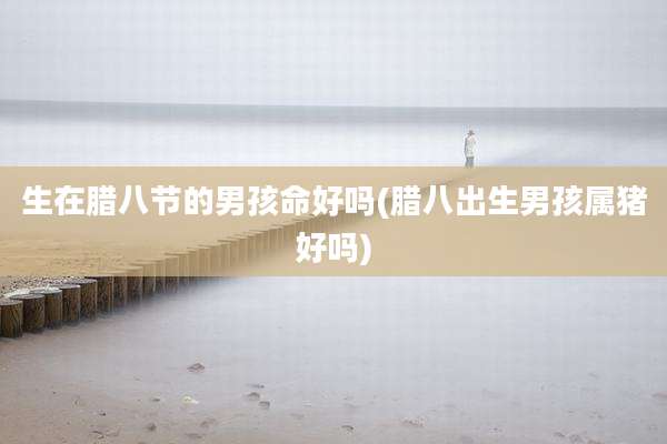 生在腊八节的男孩命好吗(腊八出生男孩属猪好吗)