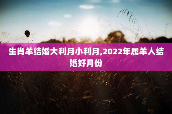 生肖羊结婚大利月小利月,2022年属羊人结婚好月份