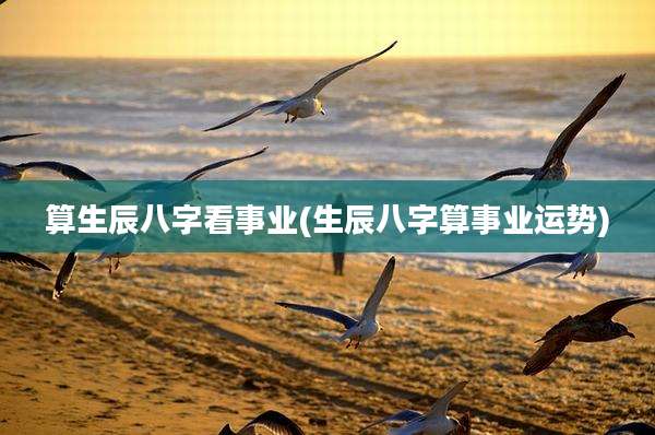 算生辰八字看事业(生辰八字算事业运势)