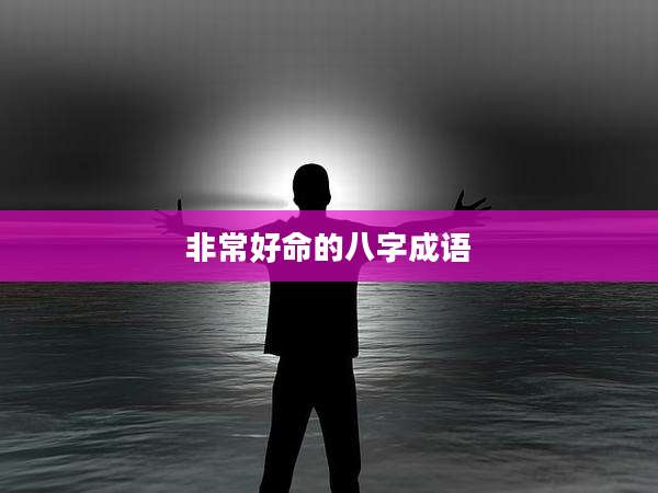 非常好命的八字成语