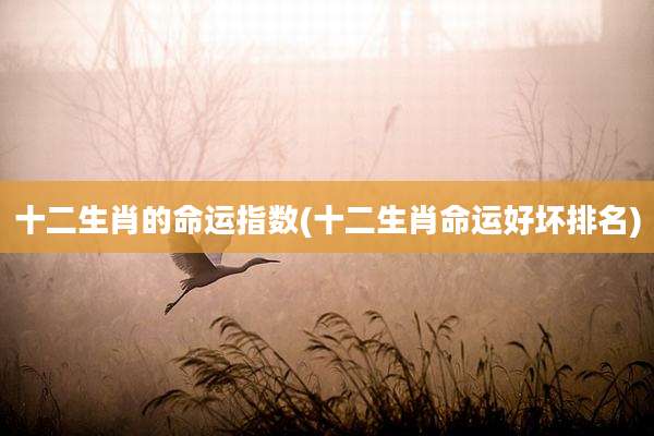 十二生肖的命运指数(十二生肖命运好坏排名)