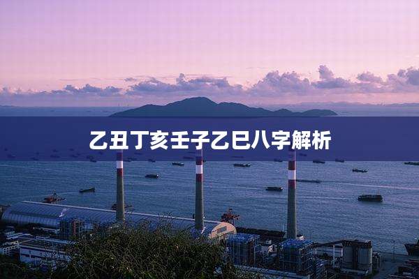 乙丑丁亥壬子乙巳八字解析