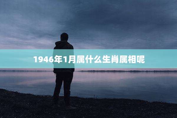 1946年1月属什么生肖属相呢