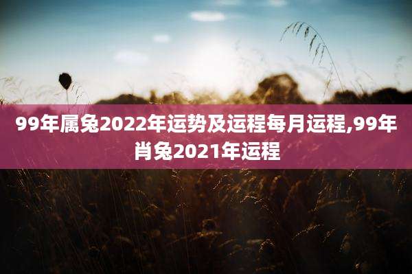 99年属兔2022年运势及运程每月运程,99年肖兔2021年运程