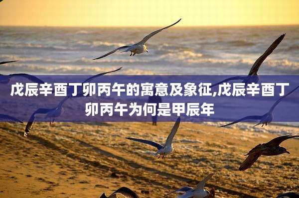 戊辰辛酉丁卯丙午的寓意及象征,戊辰辛酉丁卯丙午为何是甲辰年
