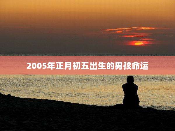 2005年正月初五出生的男孩命运