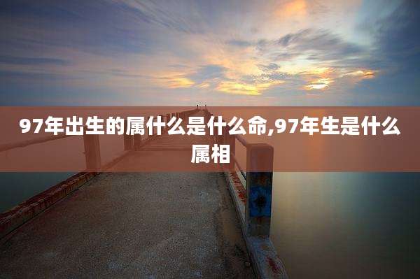 97年出生的属什么是什么命,97年生是什么属相