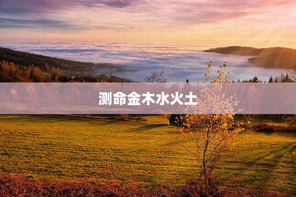 测命金木水火土