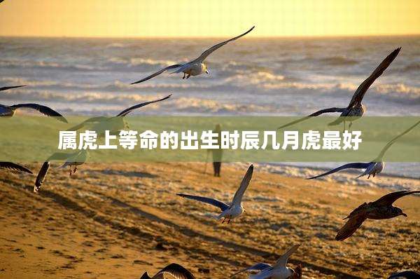 属虎上等命的出生时辰几月虎最好
