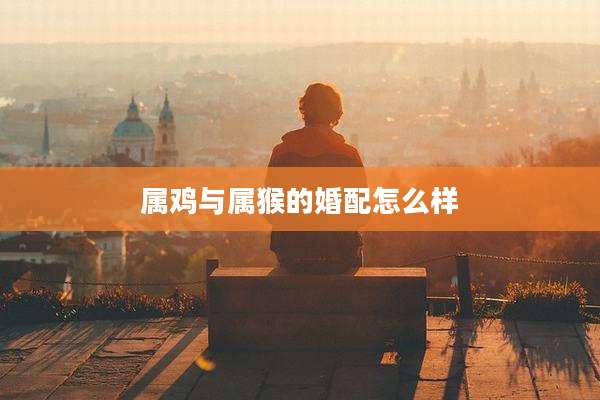属鸡与属猴的婚配怎么样